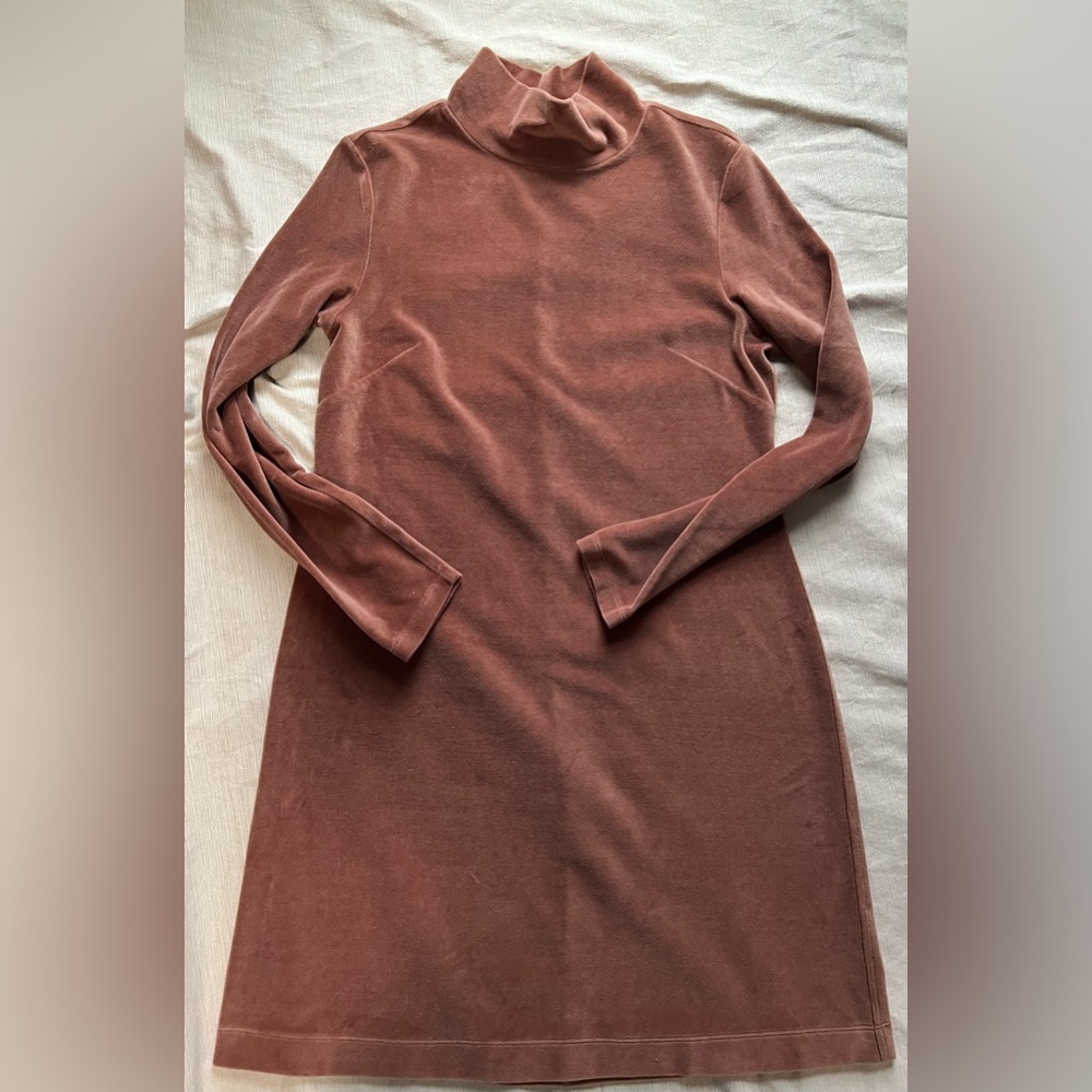 Everlane velour mock neck longsleeved dress